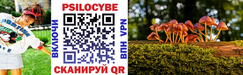 даркнет сайт  Алагир  мега ТОР  Галлюциногенные грибы Psilocybe 